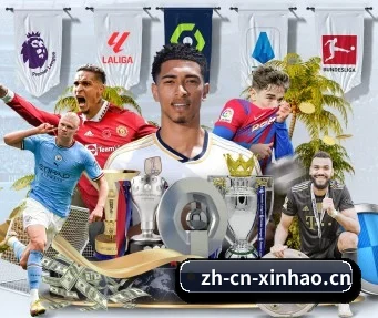 新豪科技 APP