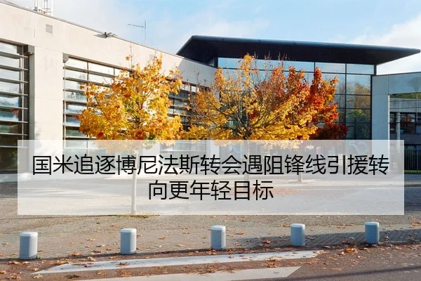 国米追逐博尼法斯转会遇阻锋线引援转向更年轻目标